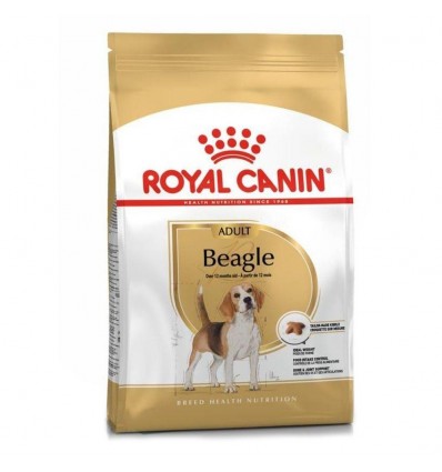 Royal Canin Dry Dog Food-Begale Adult