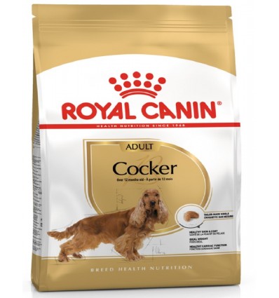 Royal Canin Dry Dog food -Cocker Adult