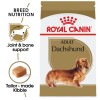 Royal Canin Dry Dog food-Dachshund Adult