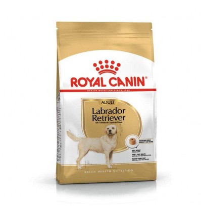 Royal Canin Dry Dog food- Labrador Retriever Adult