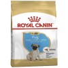 Royal Canin Dry Dog food- Pug Puppy