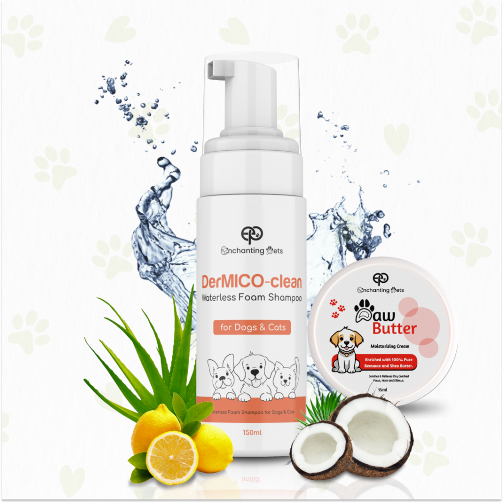ENCHANTING PETS DerMICO Clean Waterless Foam Shampoo 150ml, with Paw Butter 15ml, Innovative Formula for Waterless Bathing, Enriched with Conditioners, Ideal for Old and Sick Dogs & Cats